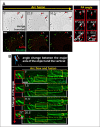 Figure 2—figure supplement 1.