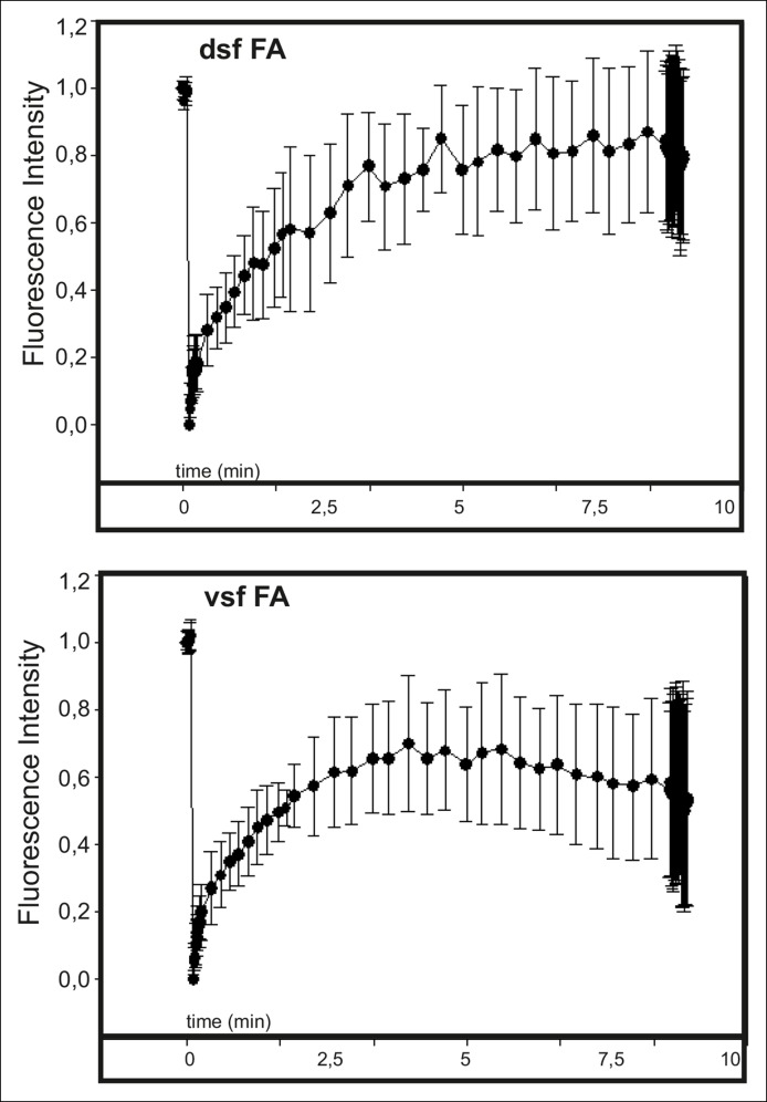 Figure 2—figure supplement 2.