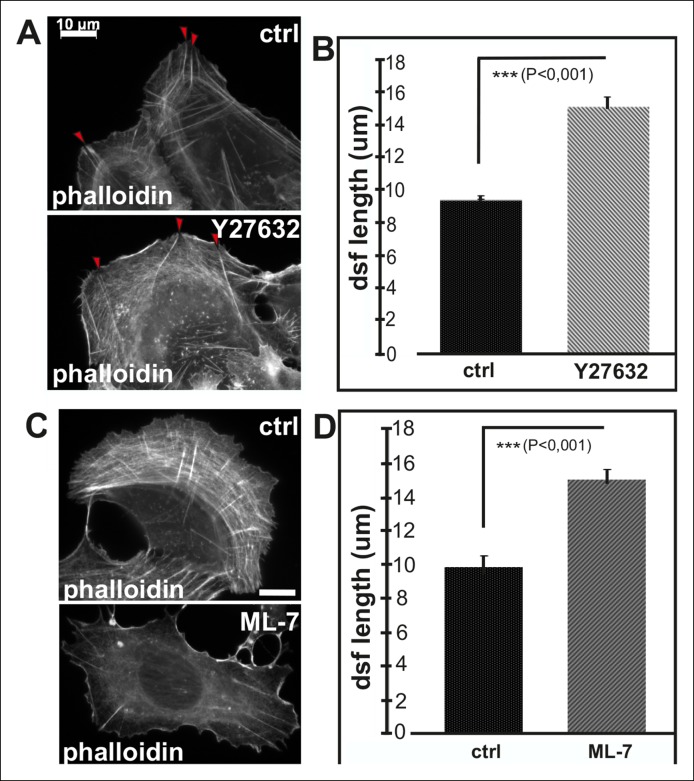 Figure 2—figure supplement 3.