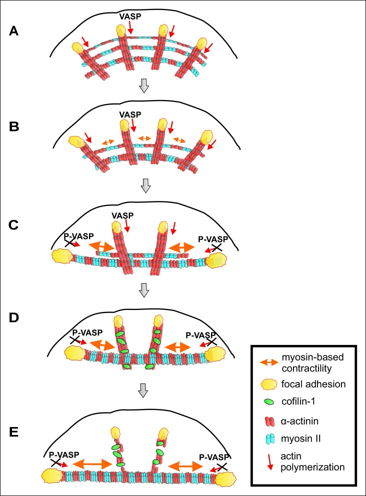 Figure 10.