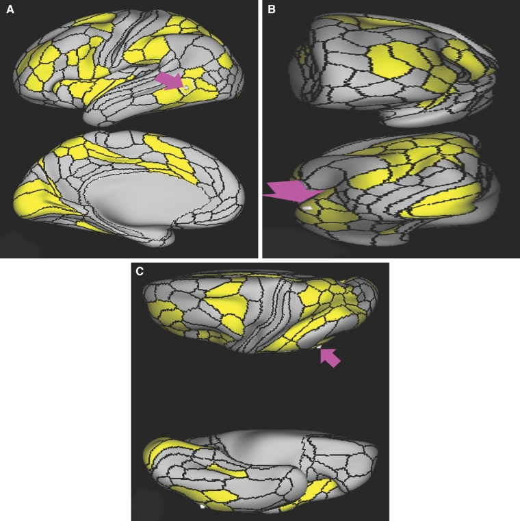 FIGURE 19.