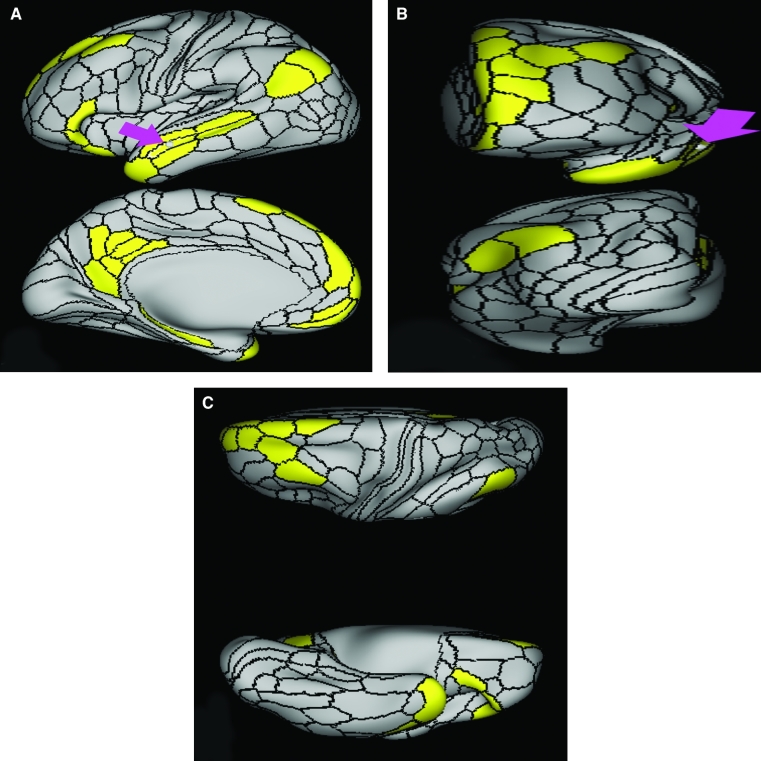 FIGURE 7.