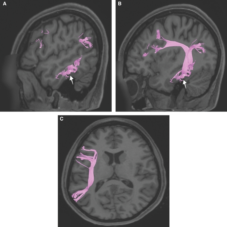 FIGURE 16.