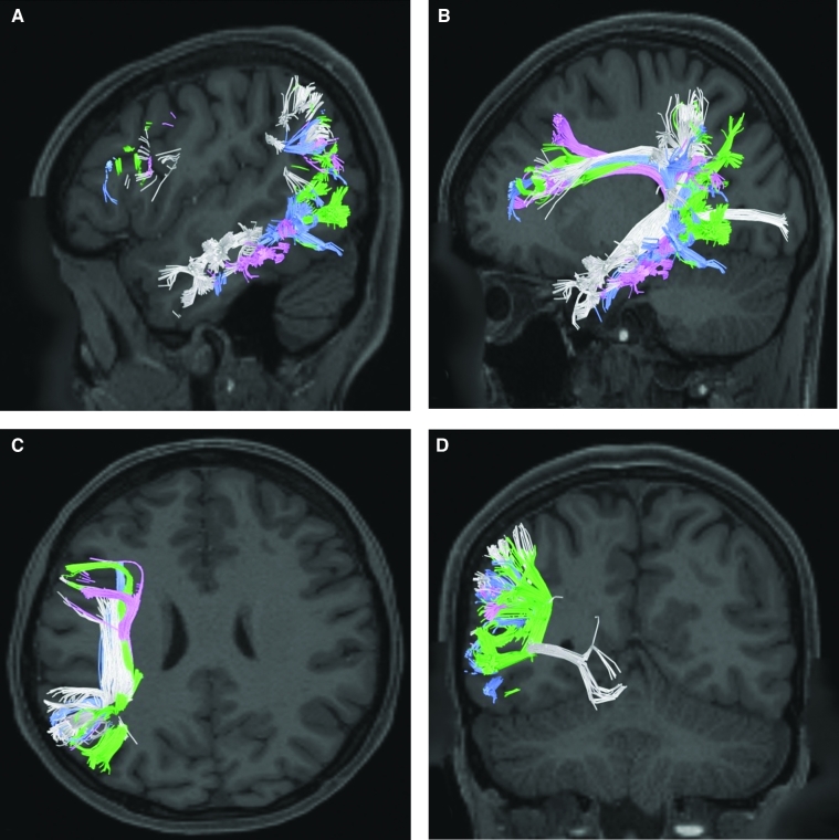 FIGURE 12.