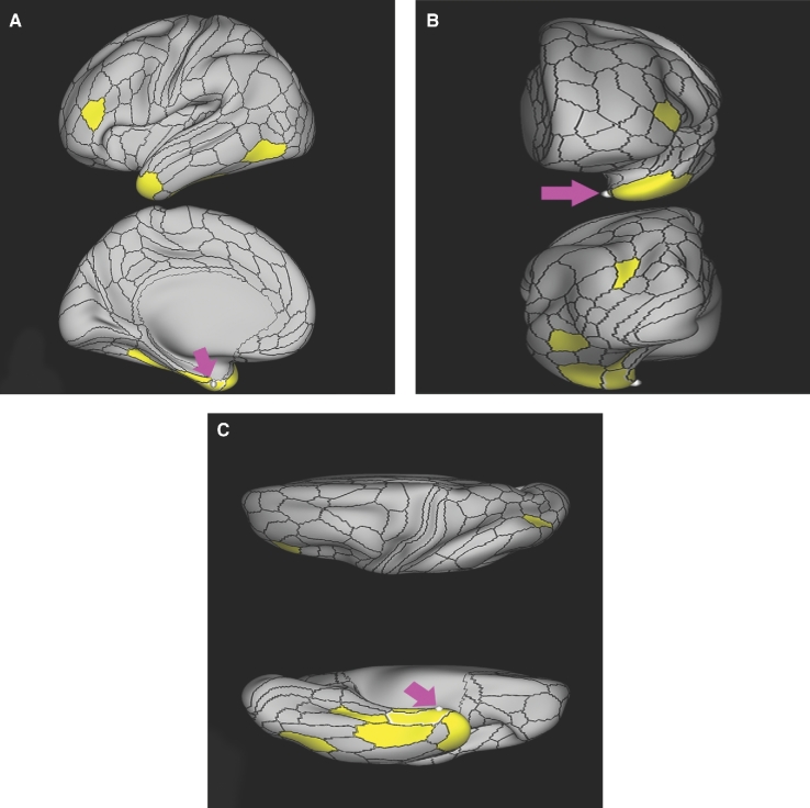 FIGURE 41.