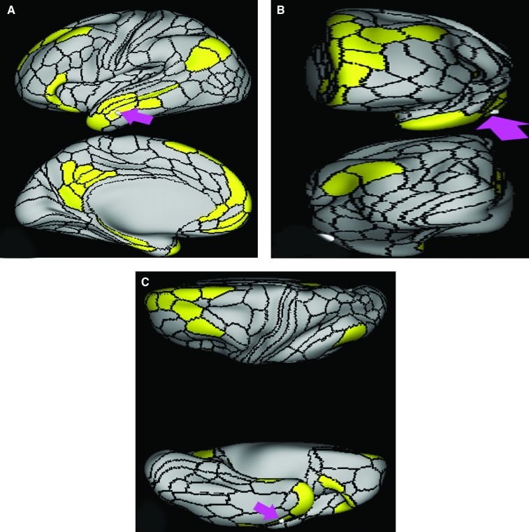 FIGURE 13.