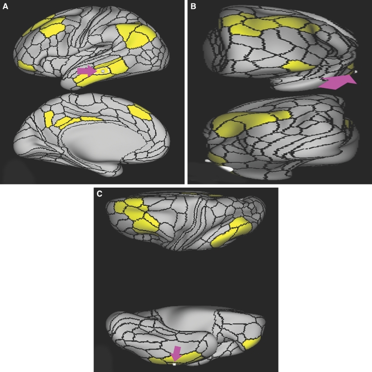 FIGURE 15.