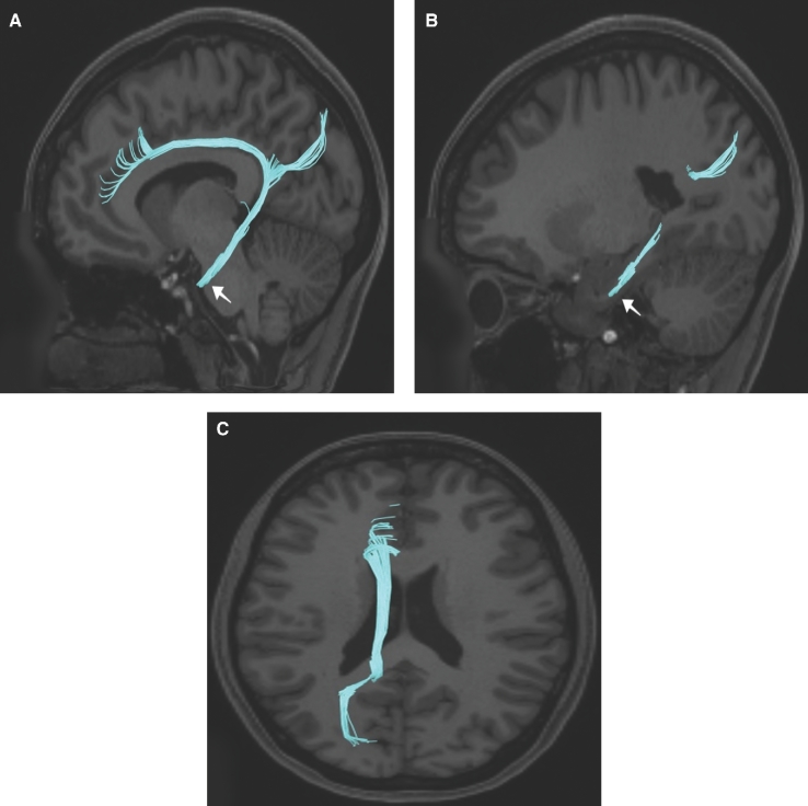 FIGURE 40.