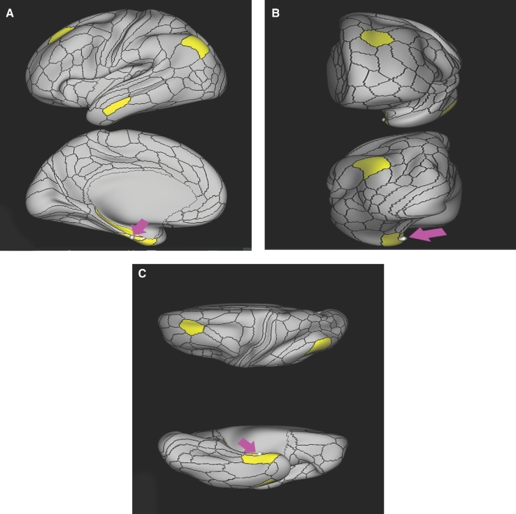 FIGURE 39.