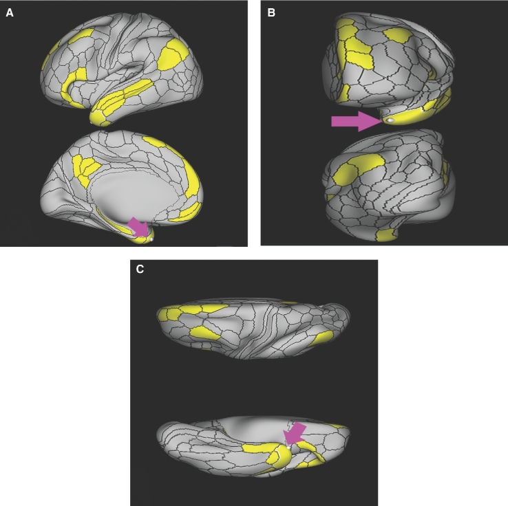 FIGURE 31.