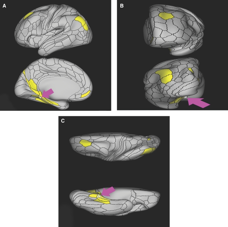 FIGURE 43.