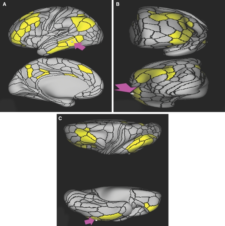 FIGURE 17.