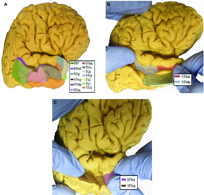 FIGURE 1.