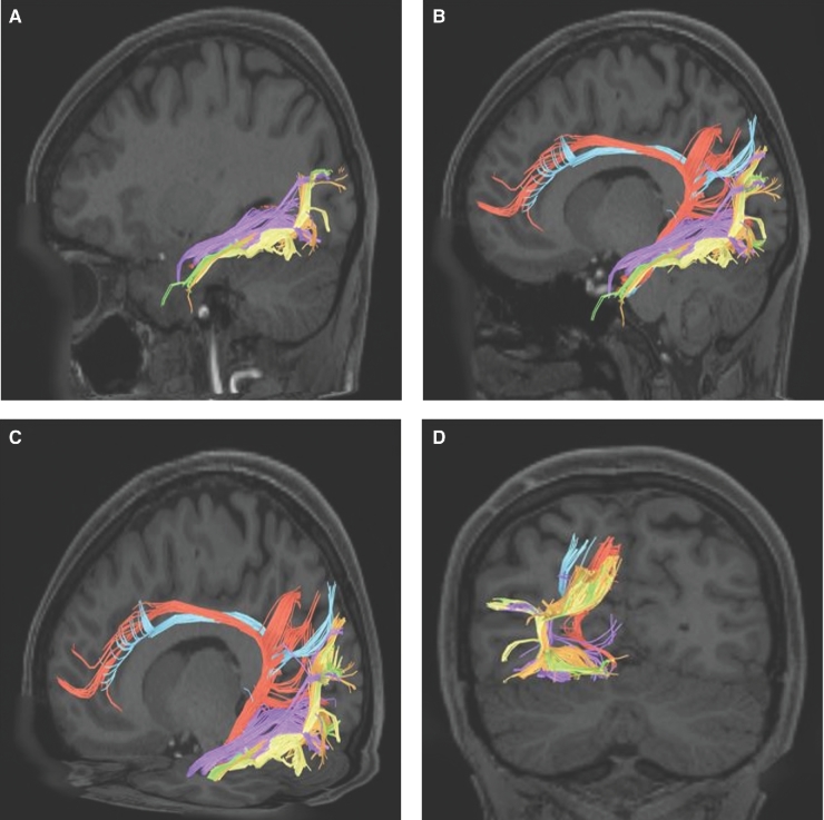 FIGURE 36.