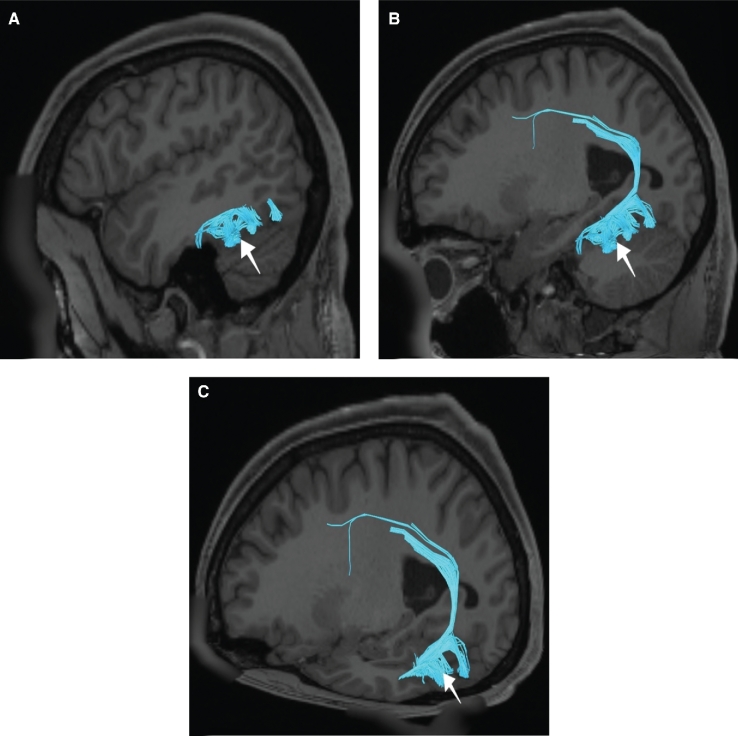 FIGURE 26.