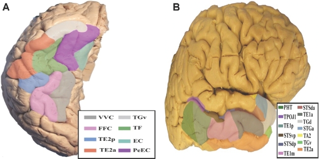 FIGURE 21.