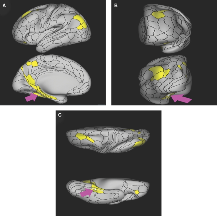 FIGURE 45.