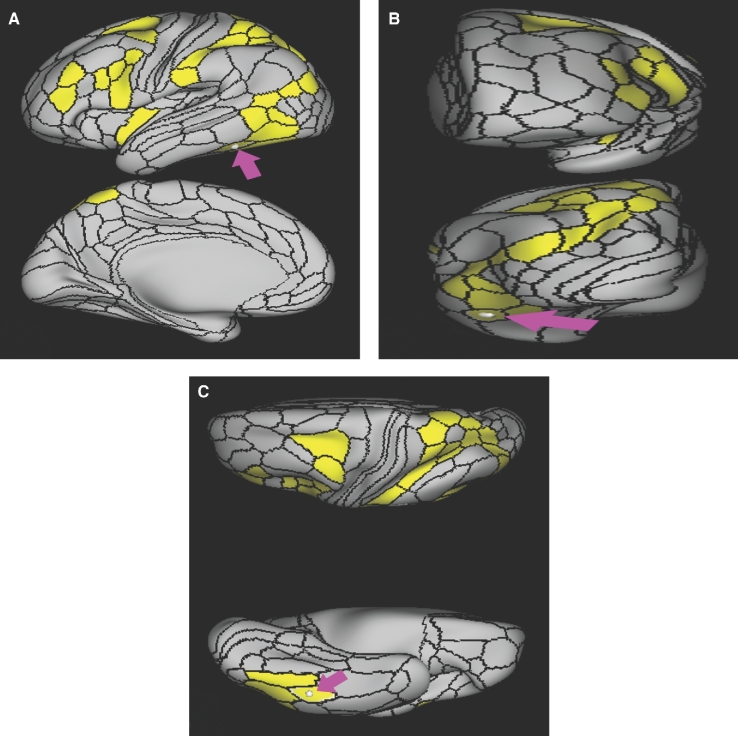 FIGURE 25.