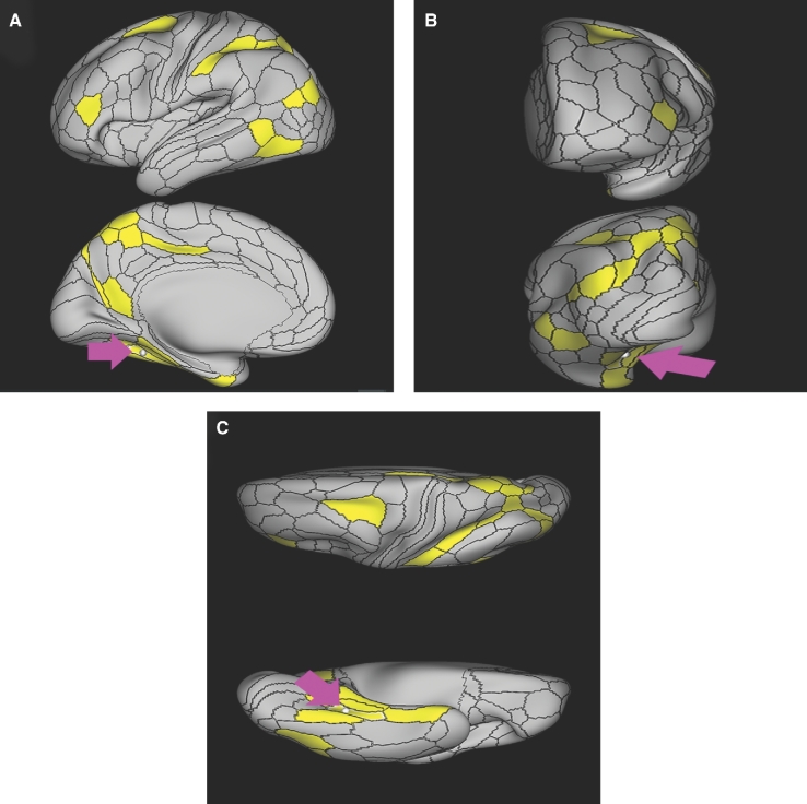 FIGURE 47.