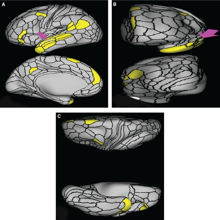 FIGURE 3.