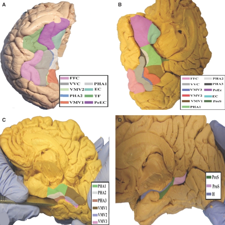 FIGURE 35.