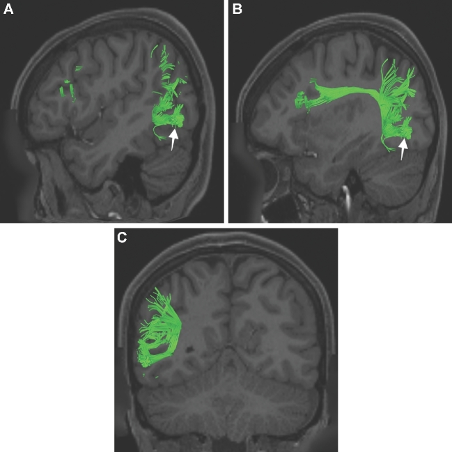 FIGURE 20.