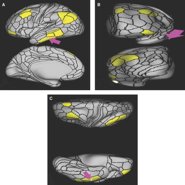 FIGURE 23.