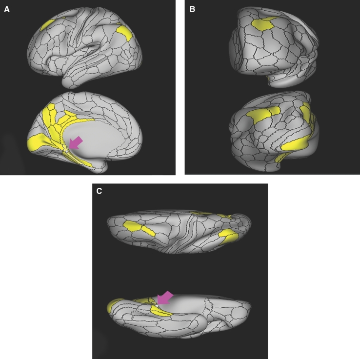 FIGURE 37.