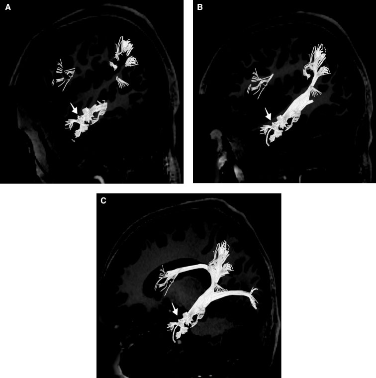 FIGURE 14.