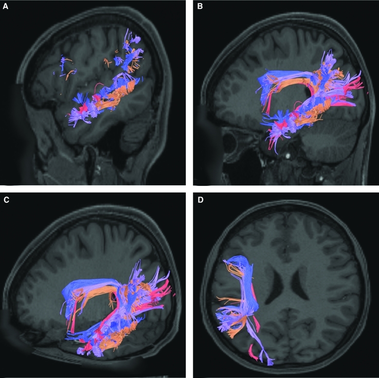 FIGURE 2.