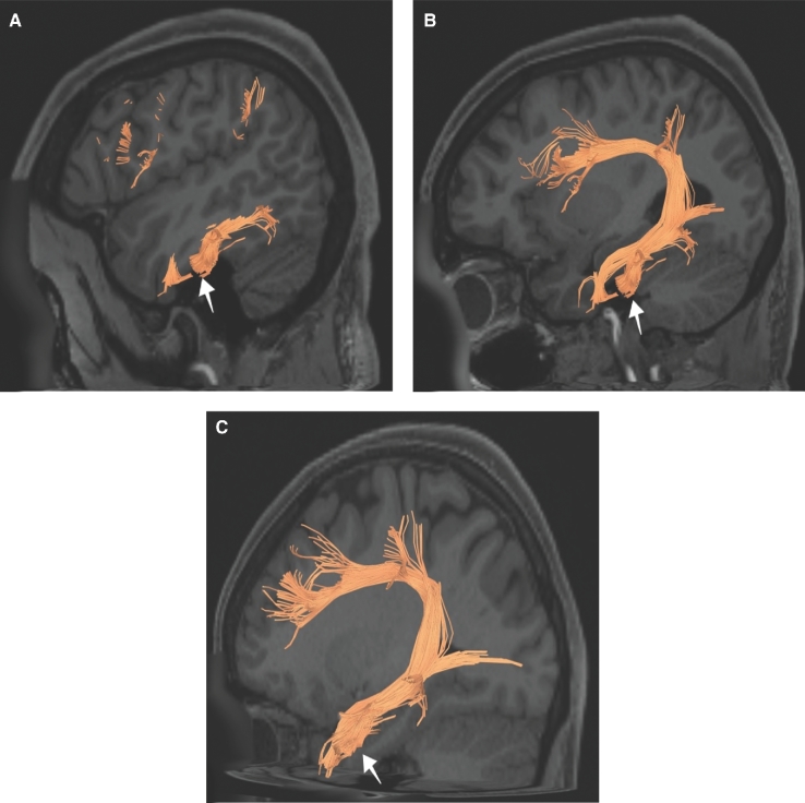 FIGURE 24.