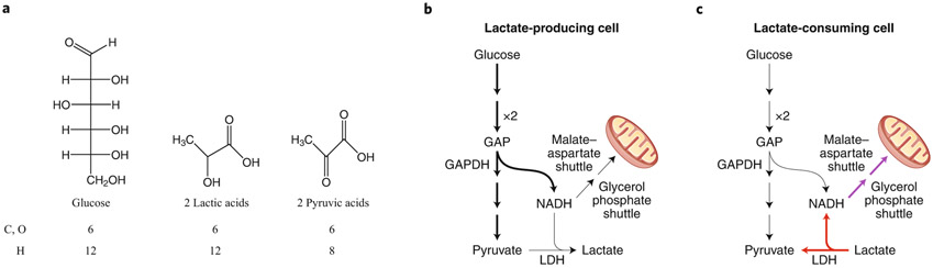 Fig. 1 ∣