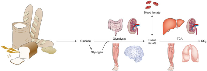 Fig. 3 ∣