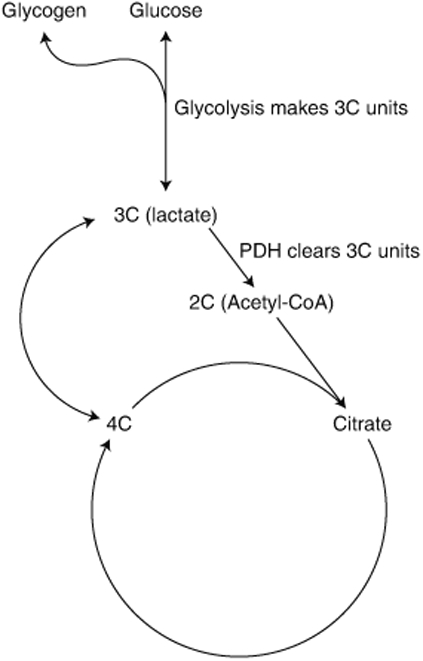 Fig. 4 ∣