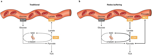 Fig. 2 ∣