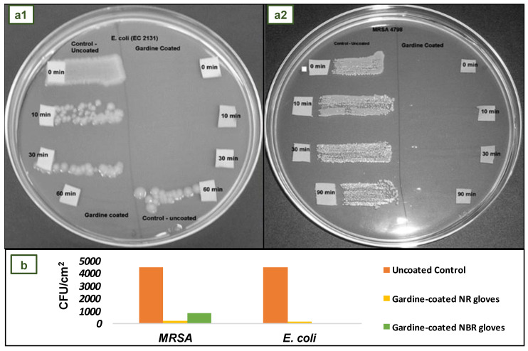 Figure 13