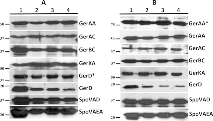 FIG 5