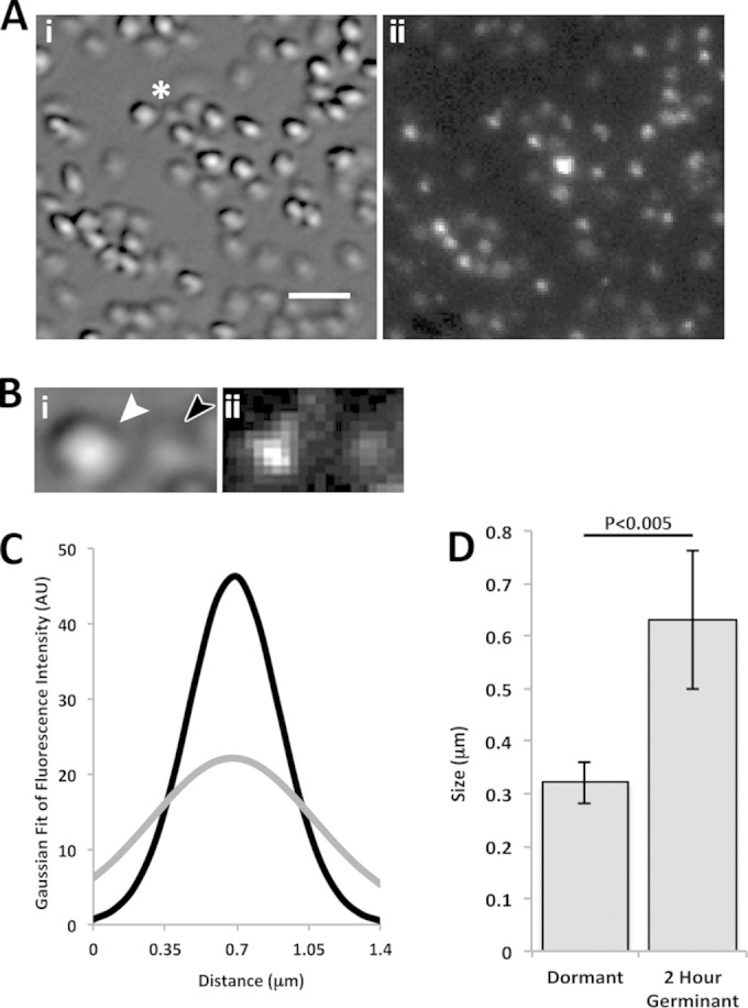 FIG 2