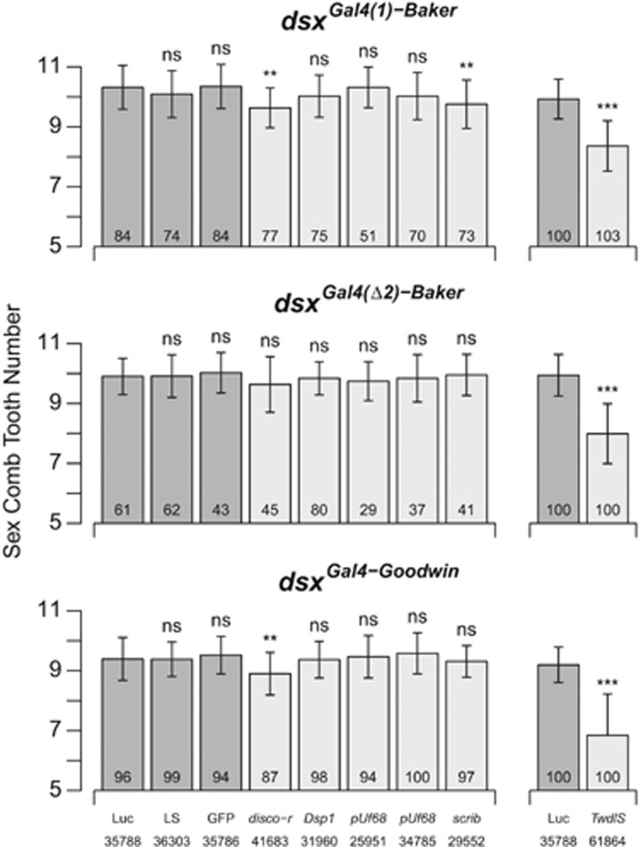 Figure 5