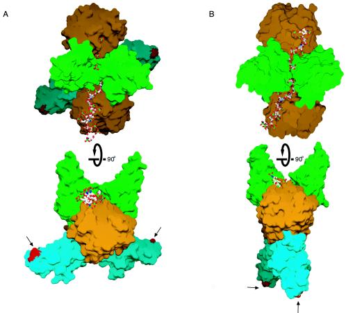 FIG. 9.