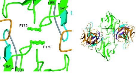 FIG. 8.