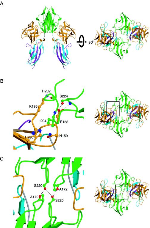 FIG. 2.