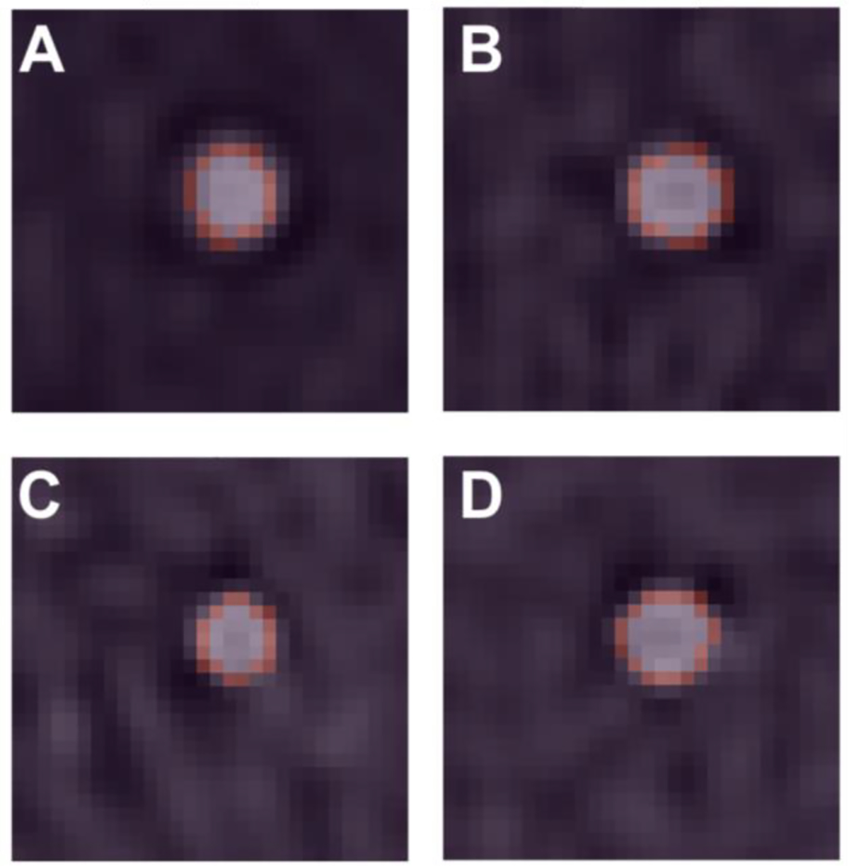 Fig. 2.