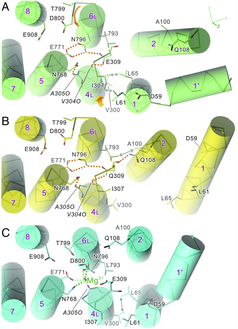 Fig. 3.