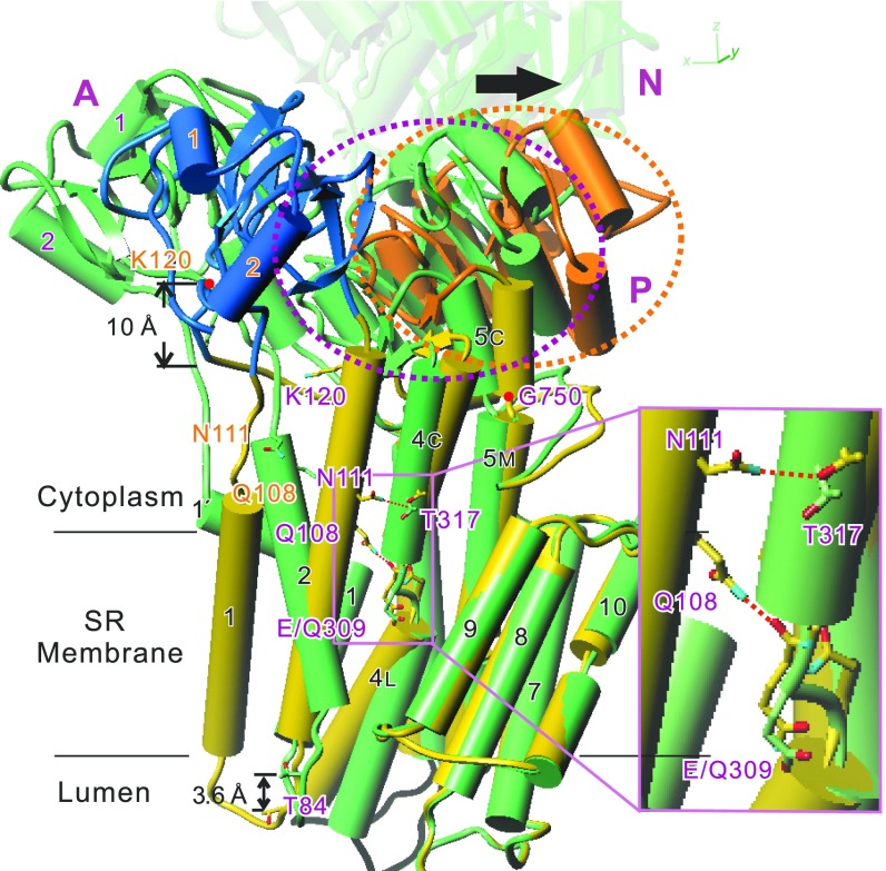 Fig. 2.