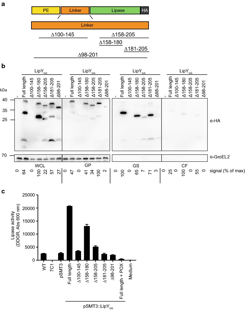 Fig. 6