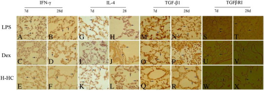 Supplement Fig. 2