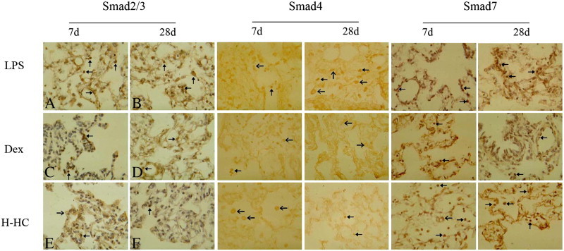 Supplement Fig. 3