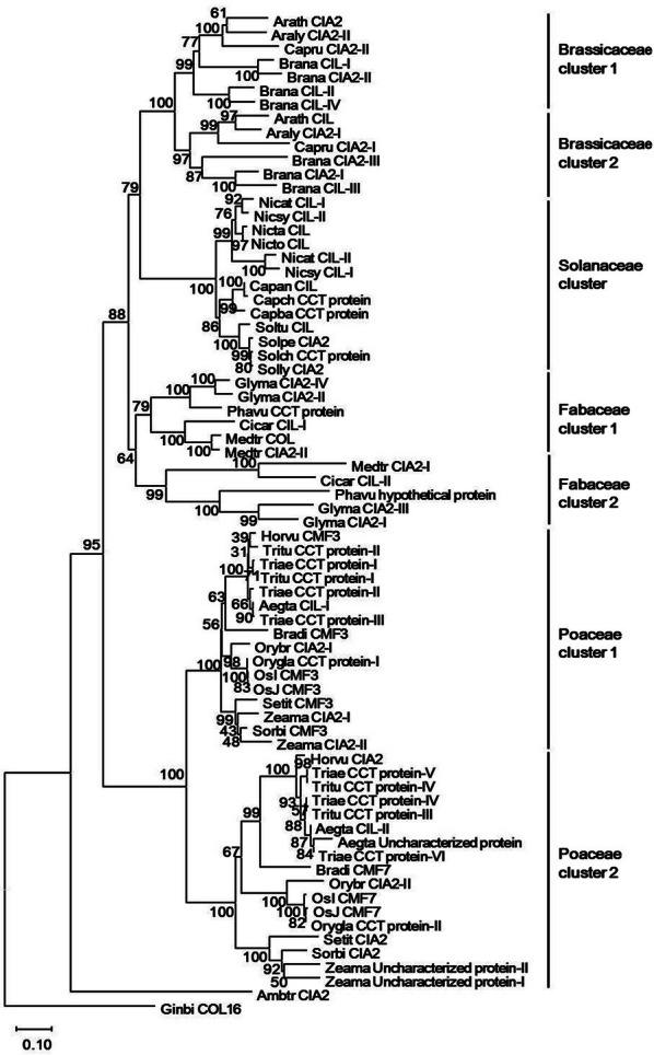 Fig. 6