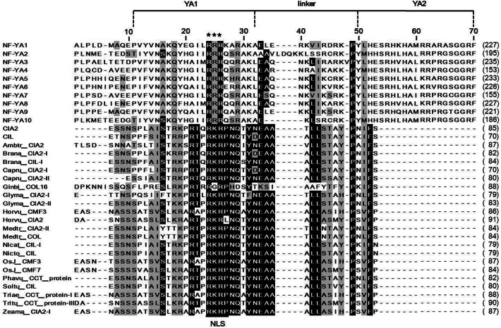 Fig. 7